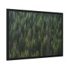 93855-657.jpg Forest on Mount Saint Helens Framed Poster