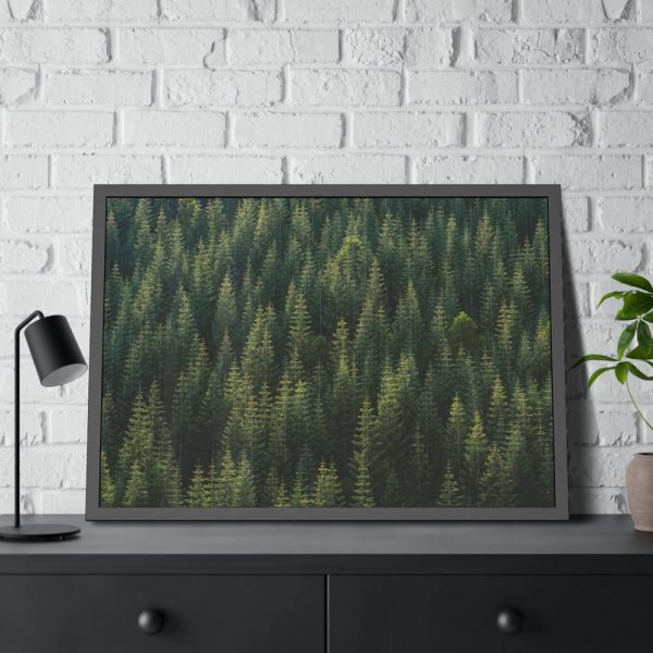 93855-659.jpg Forest on Mount Saint Helens Framed Poster