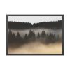 93855-660.jpg Trees and Forest in the Fog Framed Poster