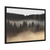 93855-661.jpg Trees and Forest in the Fog Framed Poster