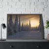 93855-671.jpg Dawn and Winter in the Forest Framed Poster