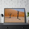 93855-683.jpg Desolate Trees in the Sandy Desert of Deadvlei Hiking Trail Framed Poster