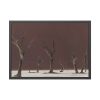 93855-692.jpg Deadvlei Sunrise Framed Poster