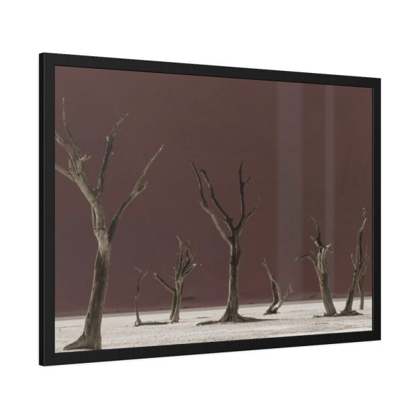 93855-693.jpg Deadvlei Sunrise Framed Poster