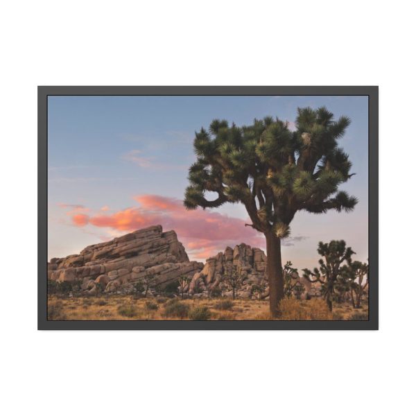 93855-696.jpg Sunset near Turtle Rock Framed Poster