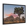 93855-697.jpg Sunset near Turtle Rock Framed Poster