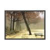 93855-712.jpg Cold Frost Season in Nature Framed Poster