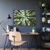 93855-718.jpg Forest in Warburton, Australia Framed Poster