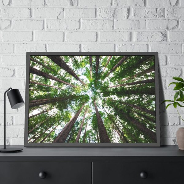 93855-719.jpg Forest in Warburton, Australia Framed Poster