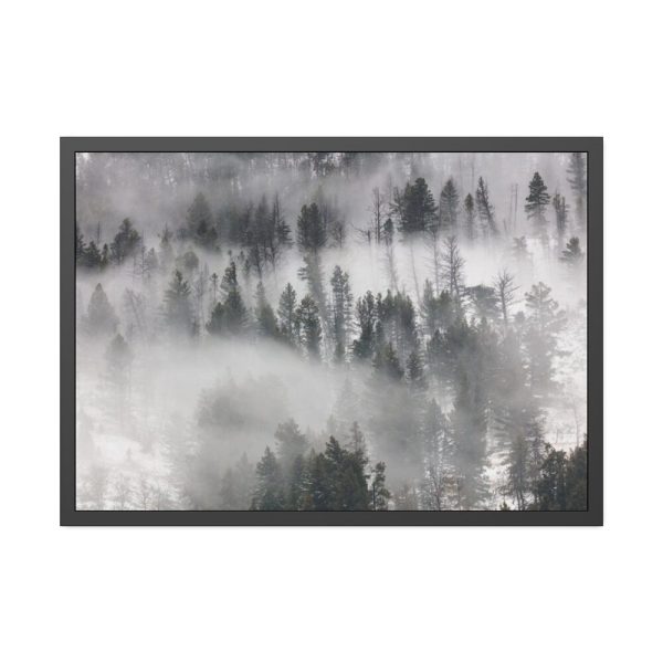 93855-720.jpg Trees in Lamar Valley Framed Poster