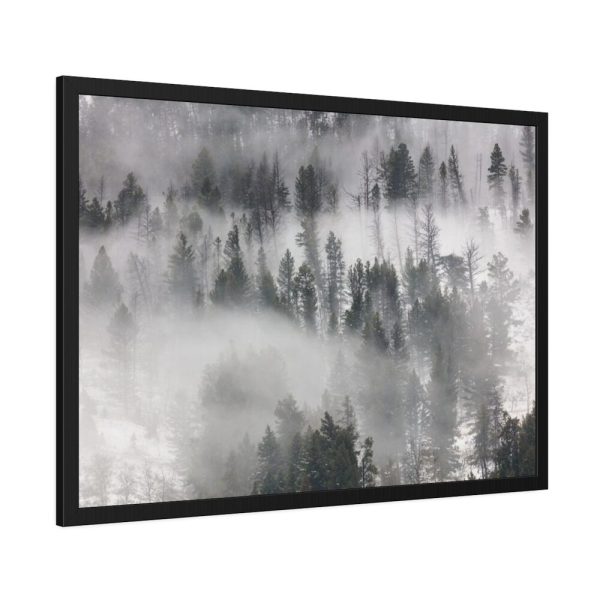 93855-721.jpg Trees in Lamar Valley Framed Poster