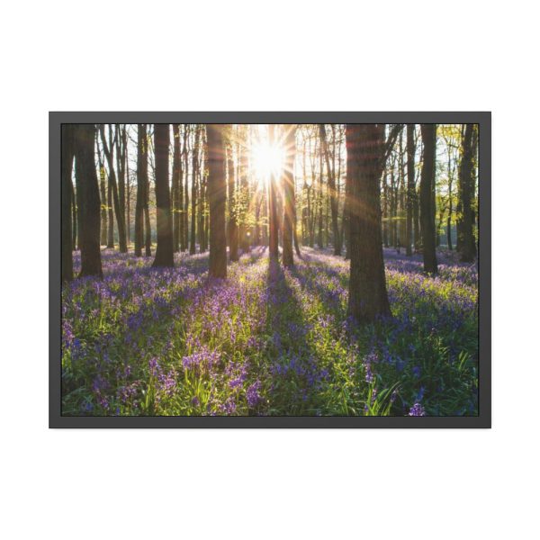 93855-728.jpg Spring day Framed Poster