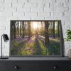 93855-731.jpg Spring day Framed Poster