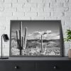 93855-743.jpg Black and White Cactus in Desert Framed Poster