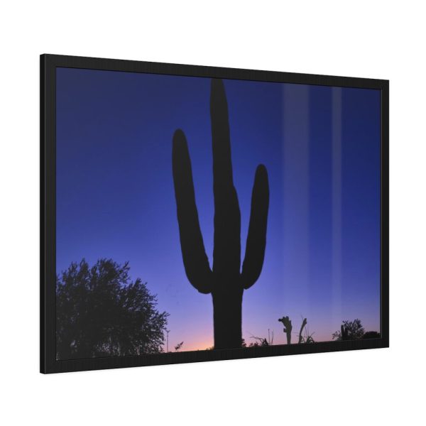93855-749.jpg Saguaro Cactus Dominates in the Garden of the White Stallion Ranch Framed Poster