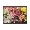 Lilies Flower  Framed Poster