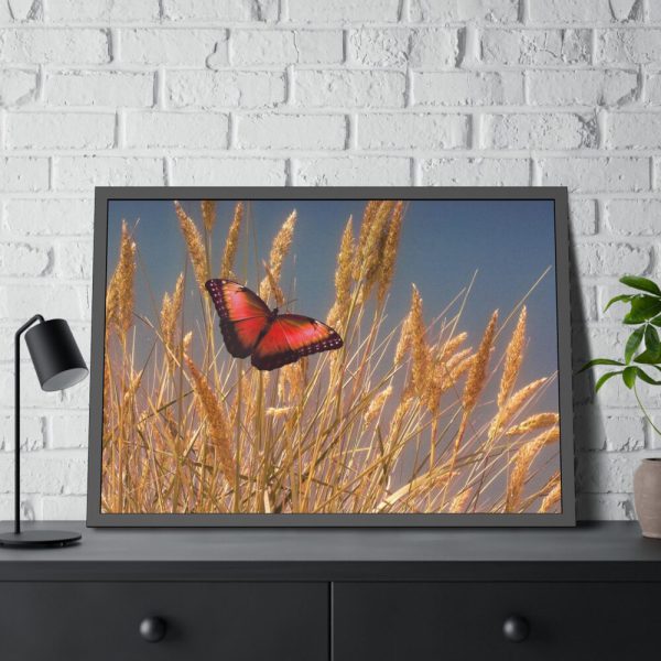 93855-83.jpg Grain Halme Cereals Butterfly Framed Poster