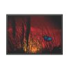 93855-84.jpg Butterfly on Nature Plant Grass Framed Poster