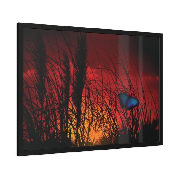 93855-85.jpg Butterfly on Nature Plant Grass Framed Poster