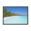 93855-871.jpg Sunny Beach With Palm Tree Framed Poster