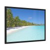 93855-872.jpg Sunny Beach With Palm Tree Framed Poster
