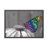 93855-96.jpg Colorful Butterfly on Flower Framed Poster