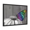 93855-97.jpg Colorful Butterfly on Flower Framed Poster