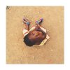 Happy African Kid Standard Canvas