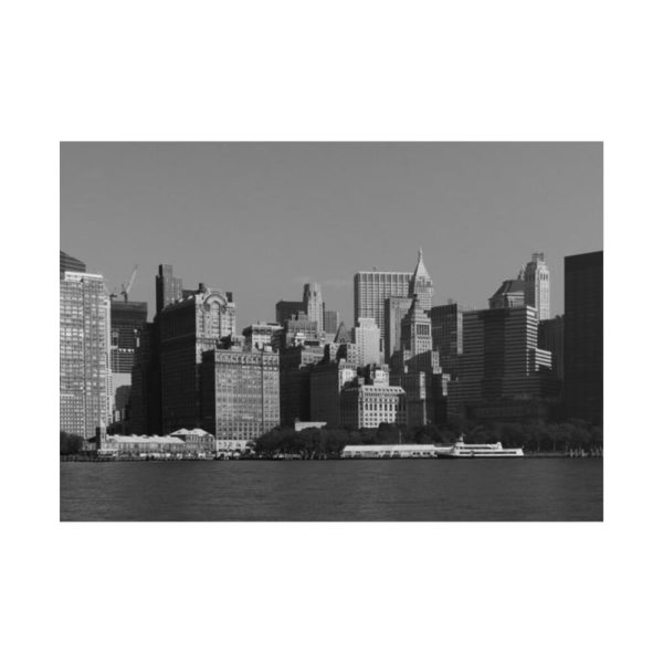 101875-180.jpg Lower Manhattan Skyline Poster