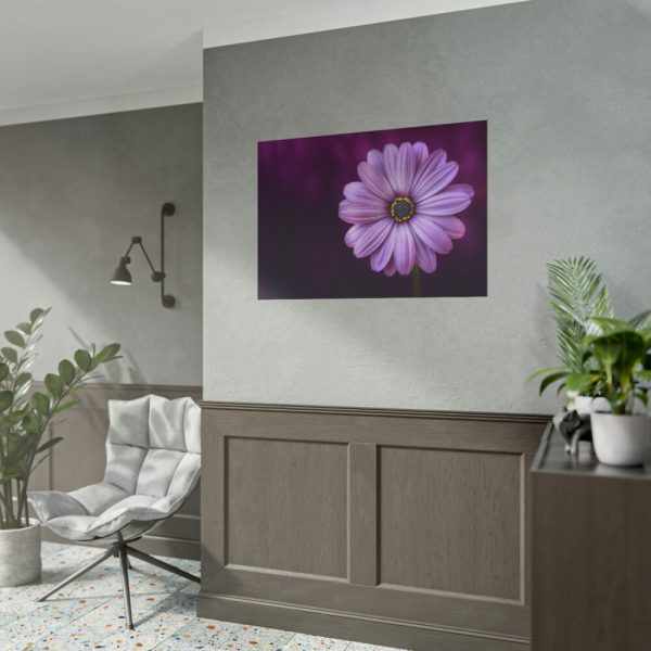 101875-194.jpg Purple Daisy Flower Poster