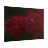 101875-207.jpg Red Spider Lilies Poster