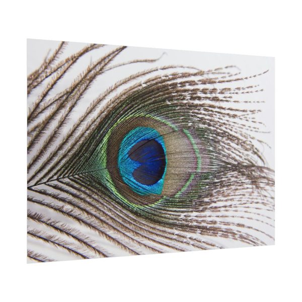 101875-227.jpg Peacock Feather Poster