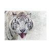 101875-240.jpg White Bengal Tiger Poster