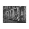 101875-280.jpg Black and White Shot of Bike Poster