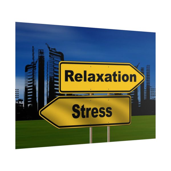 101875-32.jpg Relaxation vs Stress City Poster