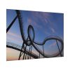 101875-337.jpg Roller Coaster Poster