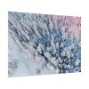 Winter Frozen Fir Tree Aerial View Poster