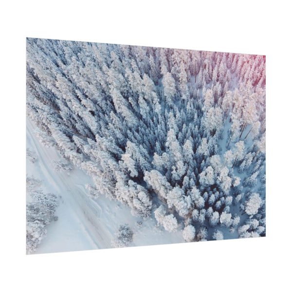 Winter Frozen Fir Tree Aerial View Poster