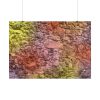 101875-466.jpg Stones and Paint Poster