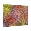 101875-467.jpg Stones and Paint Poster