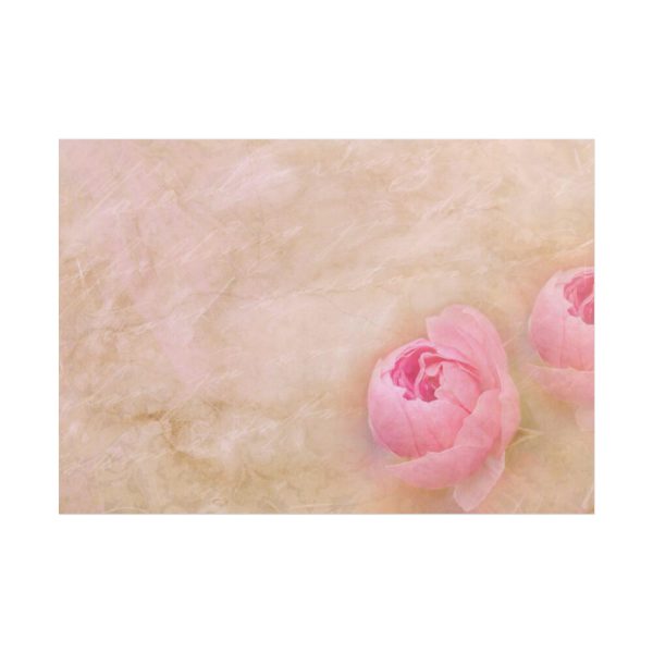 101875-470.jpg Spring Peony Poster