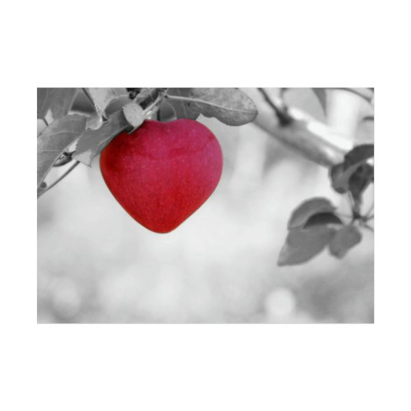 101875-505.jpg Red Apple in the Black and White Poster