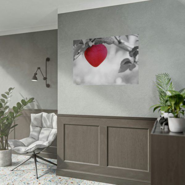 101875-509.jpg Red Apple in the Black and White Poster
