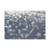 101875-585.jpg Closeup on Ice Crystals Poster