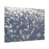 101875-587.jpg Closeup on Ice Crystals Poster