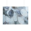 101875-591.jpg Leaves Covered in Ice Crystals Poster