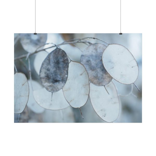 101875-591.jpg Leaves Covered in Ice Crystals Poster