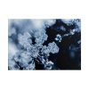 101875-600.jpg Closeup on Textured Frost Poster