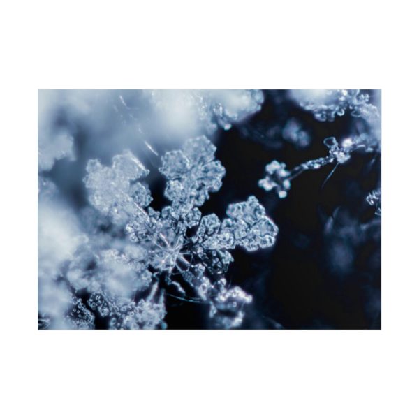 101875-600.jpg Closeup on Textured Frost Poster