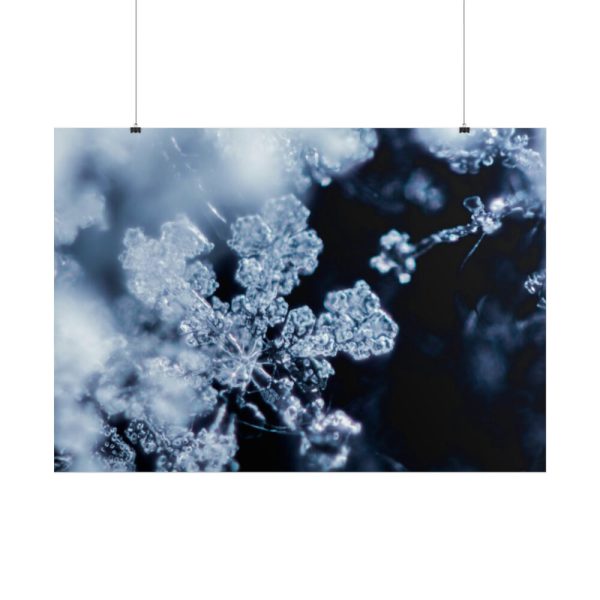 101875-601.jpg Closeup on Textured Frost Poster